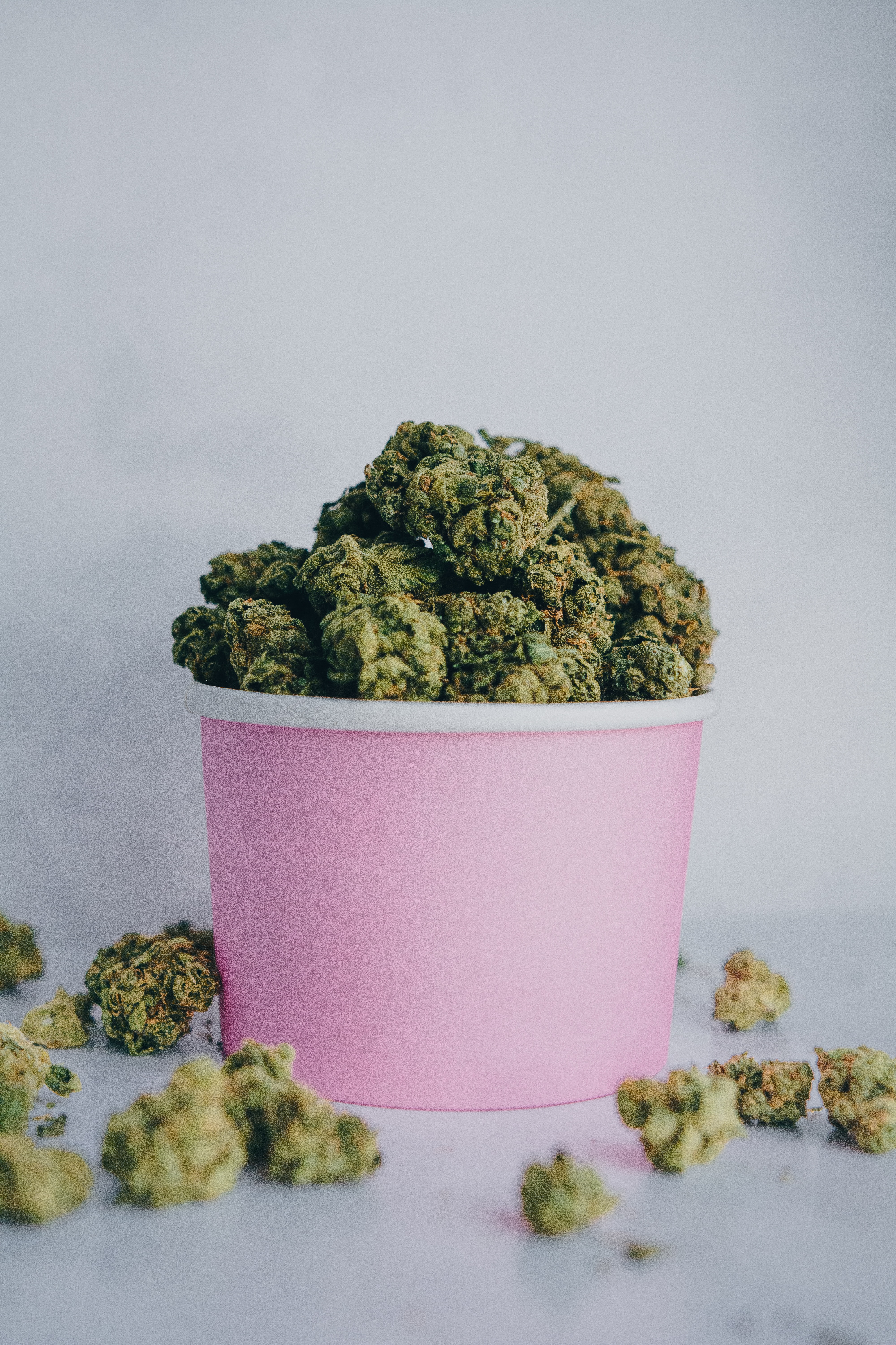 Der Einfluss von Terpenen auf die Wirkung von Cannabis