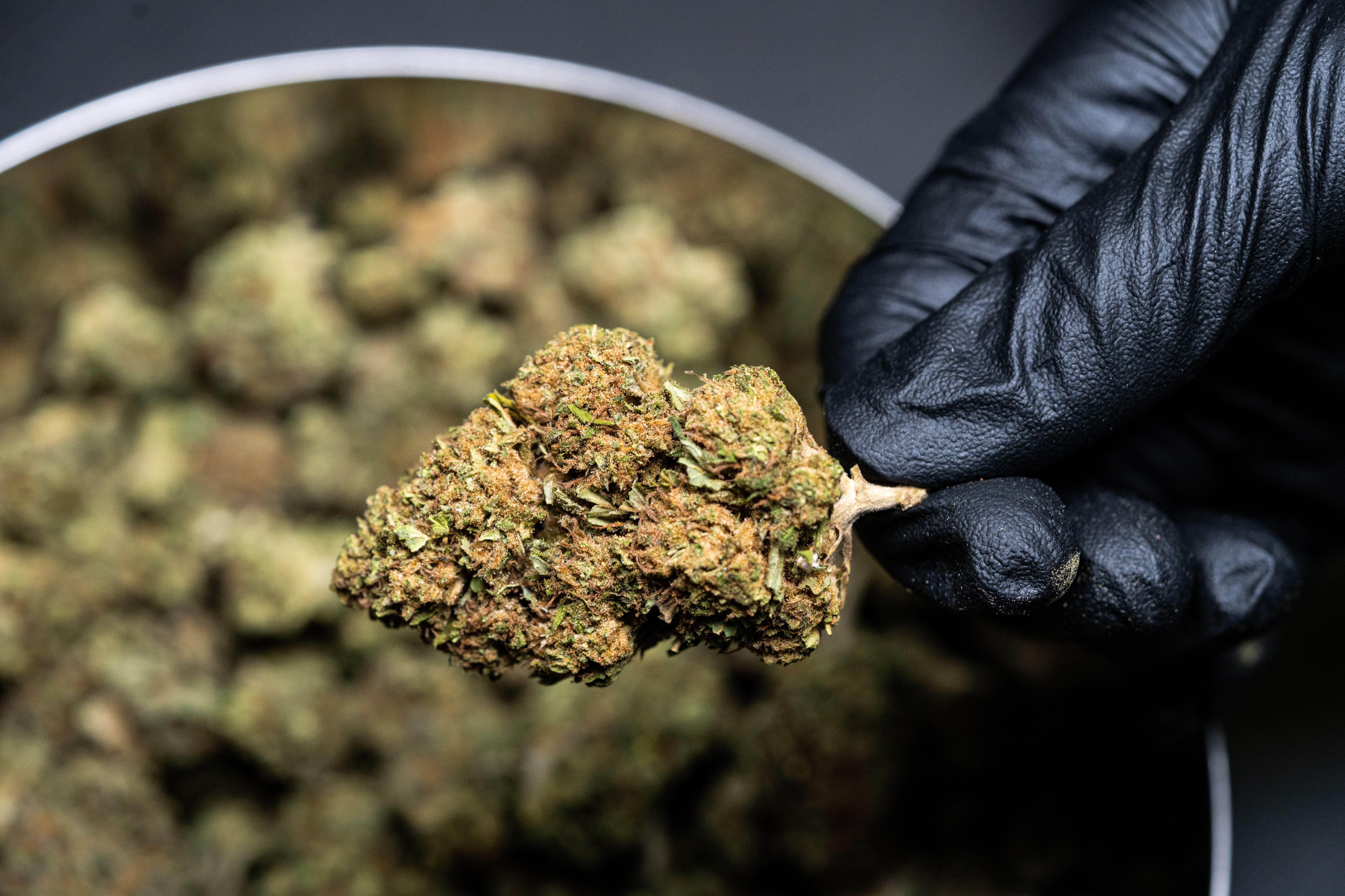 Wo hilft medizinisches Cannabis? Eine Übersicht